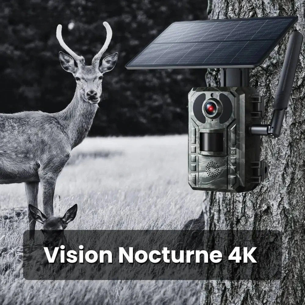 Caméra De Chasse 4G + Panneau solaire + Application Mobile