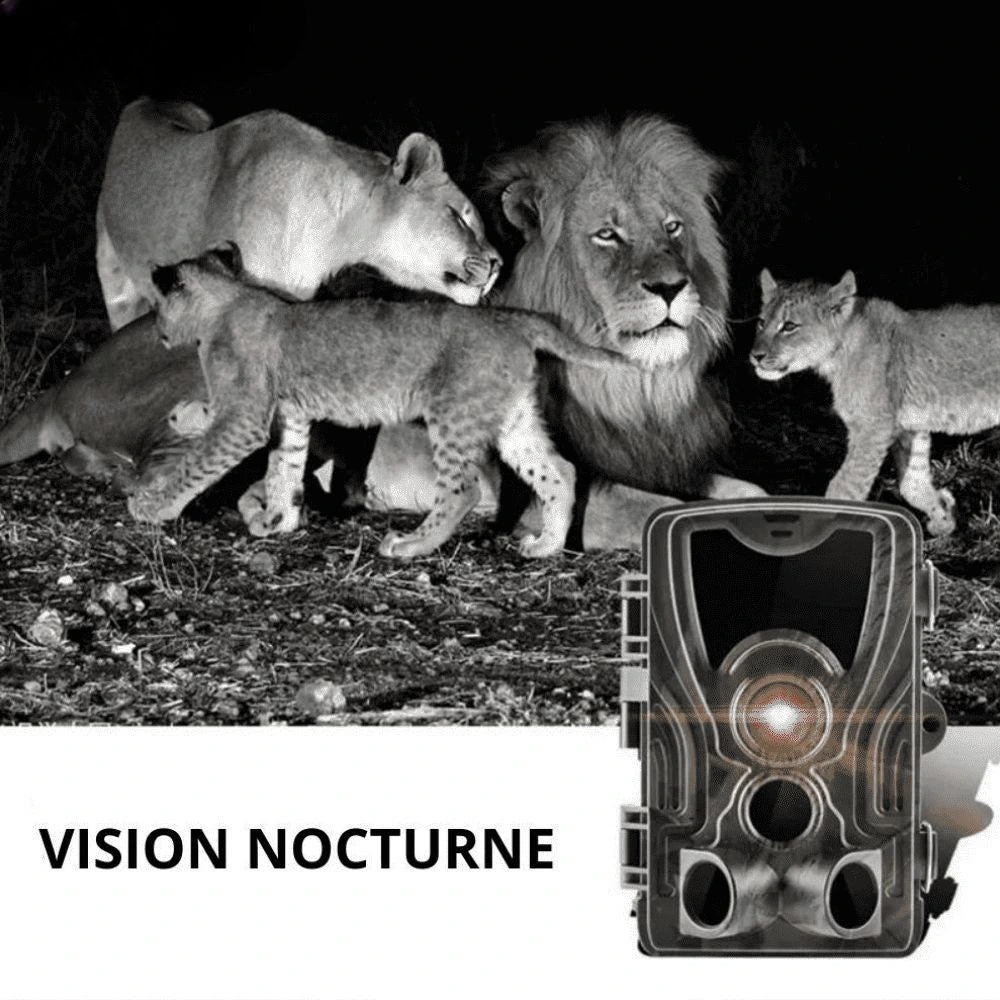 Caméra de chasse 4K avec écran - ForestChasse®