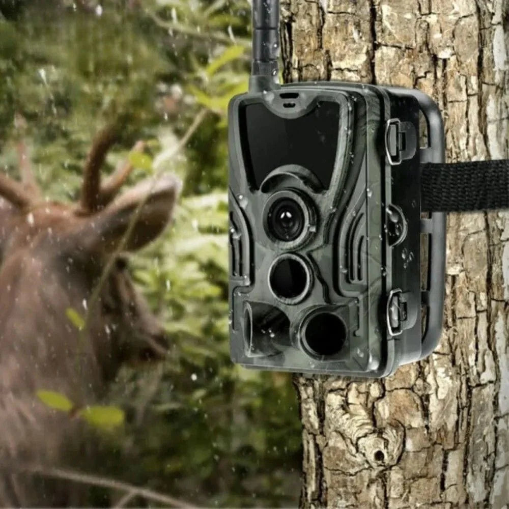Caméra De Chasse 4G+ 4K Avec Écran - ForestChasse®