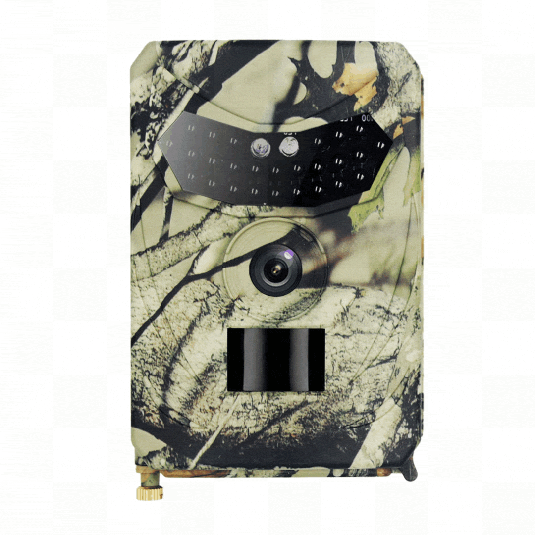 Camera de chasse Vision Nocturne - ForestChasse®