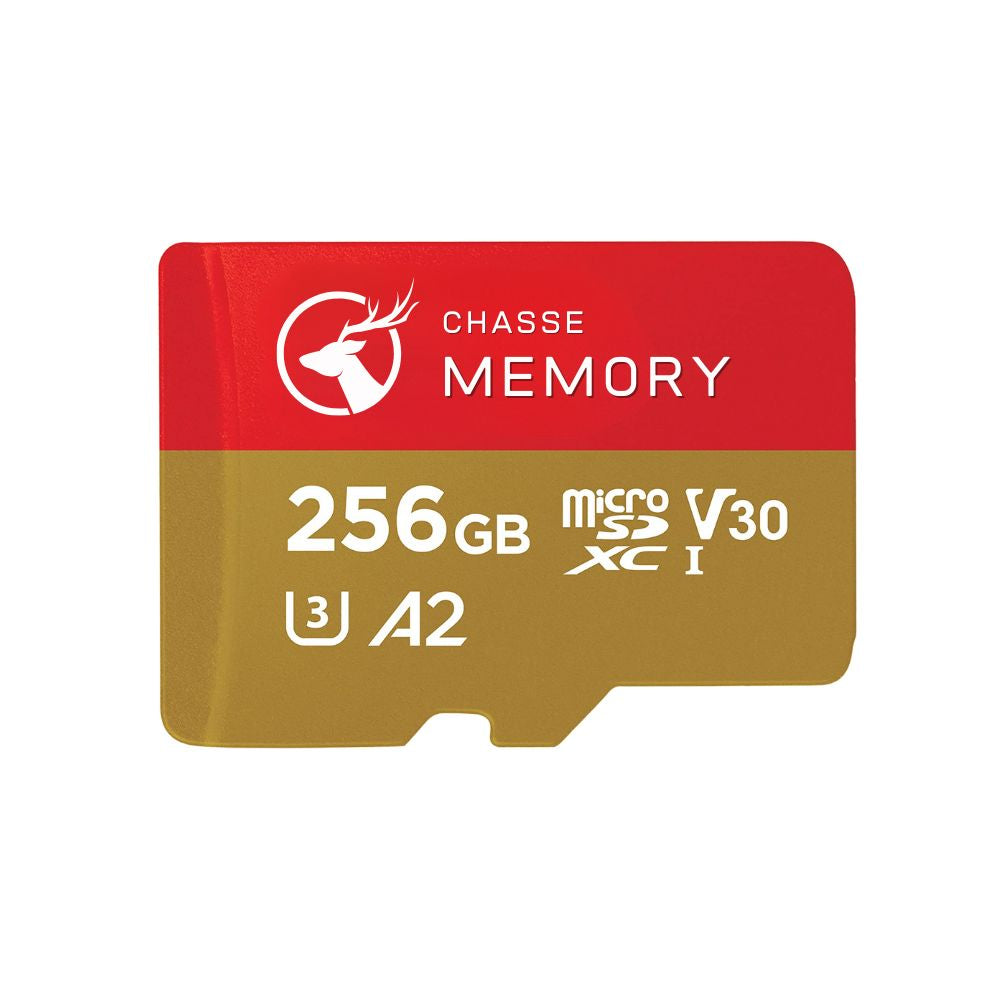 Carte Mémoire SD Ultra-Rapide – La fiabilité totale pour sauvegarder vos clichés en 4K par tous temps.