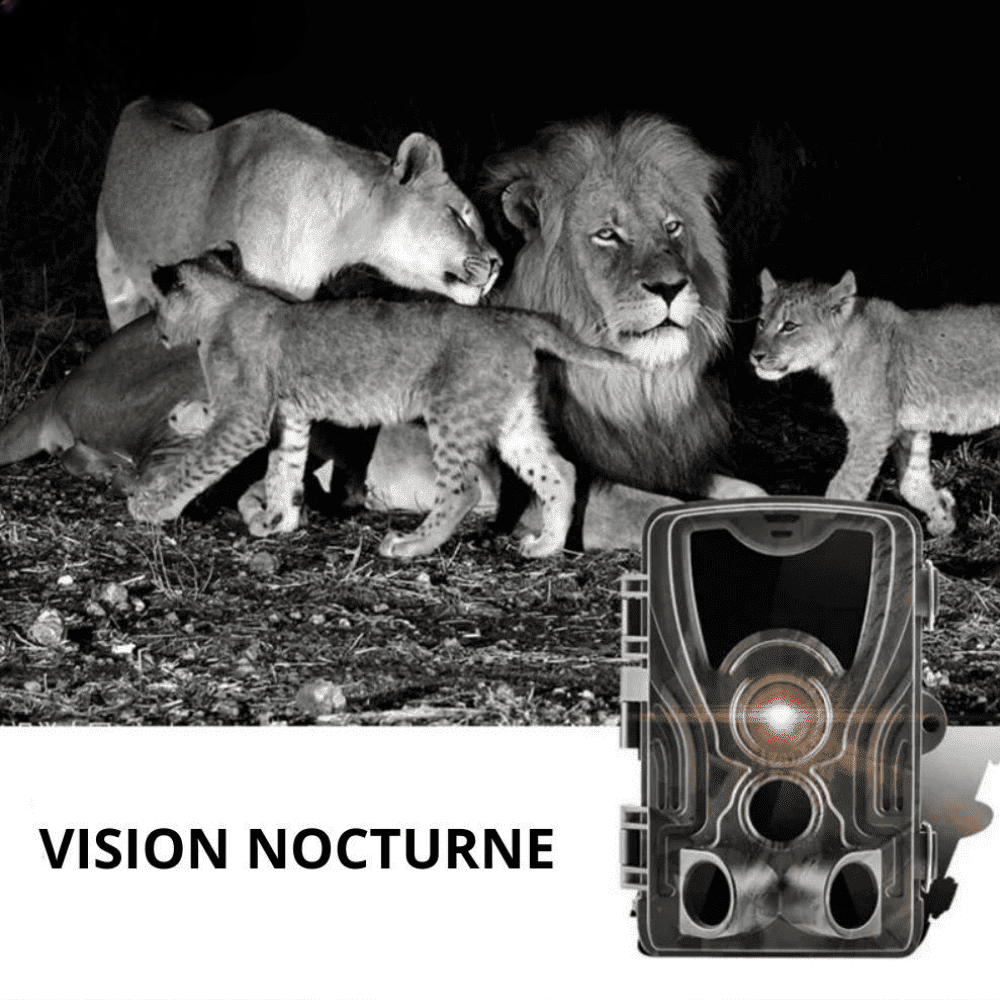 Camera de Chasse Nocturne avec écran - ForestChasse®
